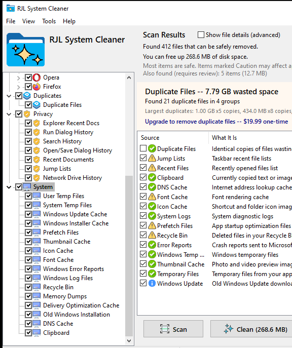 RJL System Cleaner sidebar fully expanded showing Privacy subcategories including Explorer history, run dialog history, and network drive history, plus System subcategories including DNS cache, thumbnail cache, recycle bin, and memory dumps